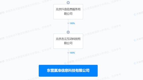 數(shù)據(jù)處理與存儲支持服務(wù) 構(gòu)建數(shù)字時(shí)代的堅(jiān)實(shí)基座